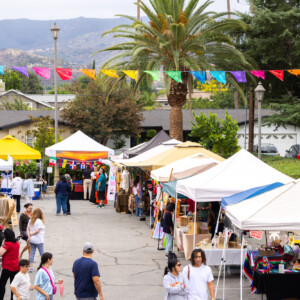 Wide view of festival grounds